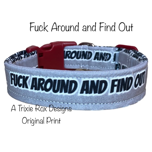 Fuck around and find out dog collar, funny dog collar, obscene dog collar, adjustable, washable, eco friendly, Side release, gray, black