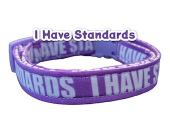 Funny dog collar, I have standards, girl dog collar, handmade dog collar, custom dog collar, obscene dog collar, purple dog collar, washable