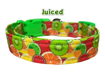 Fruit dog collar, food dog collar, Funny dog collar, dog collar girl, dog collar boy, watermelon, kiwi, orange, lime, lemon dog collar