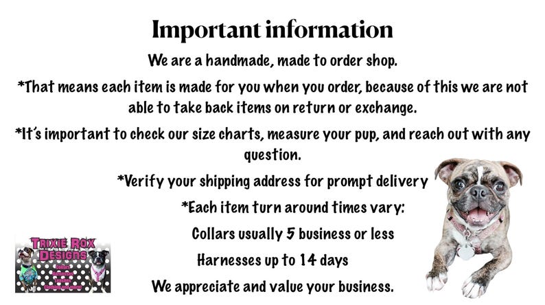 A document titled "Important information" with text about returns, sizing, shipping, and turnaround times, with a dog wearing a collar on the right.