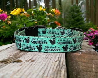 Oh look a squirrel dog collar, funny dog collar, side release dog collar, adjustable washable collar, handmade dog collar, custom dog collar