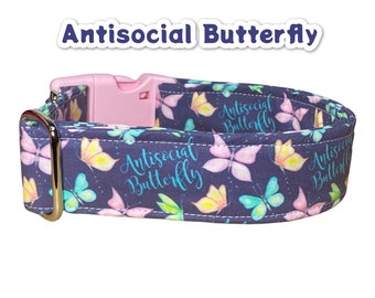 Funny dog collar, cuss word dog collar, wide dog collar, side release, adjustable, washable collar, fabric dog collar, Antisocial Butterfly