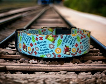 Train wreck dog collar, funny dog collar, obscene dog collar, side release, adjustable, washable, fabric dog collar, handmade dog collar