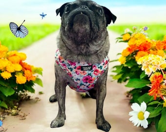 Floral Dog harness, soft dog harness, dog harness and leash set, neoprene dog harness, adjustable dog harness, washable dog harness