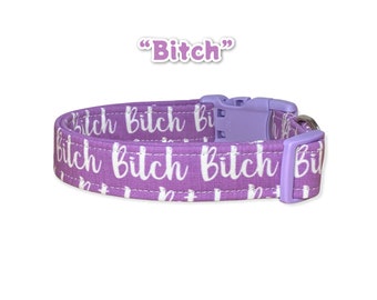 Dog collar, dog collar girl, funny dog collar, obscene dog collar, cuss word dog collar, side release, adjustable, washable, bitch collar