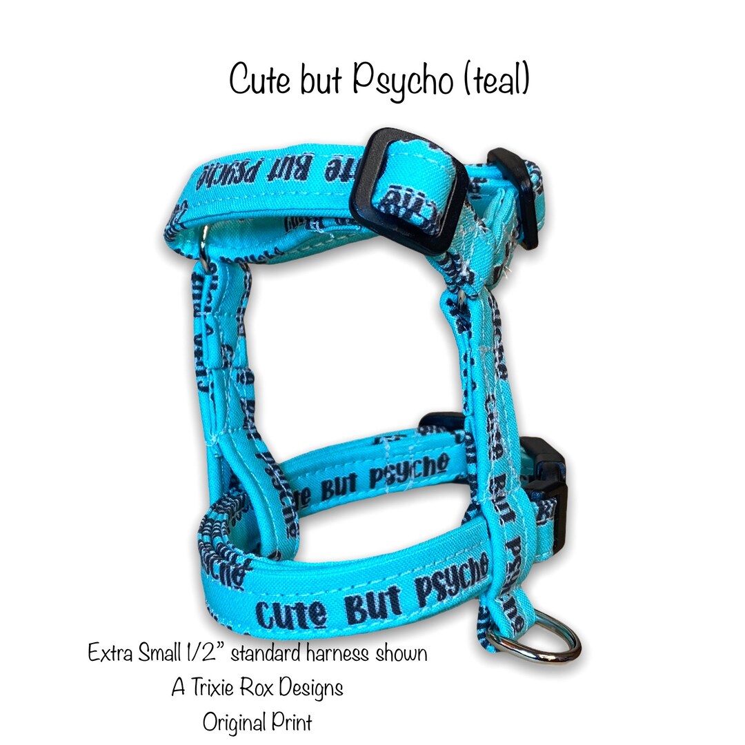 Funny Dog Harness and Leash Set, Adjustable Dog Harness, Standard Roman