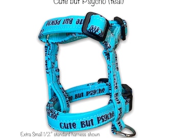 Funny dog harness and leash set, adjustable dog harness, standard Roman harness, step in harness, matching leash, cute but psycho, washable