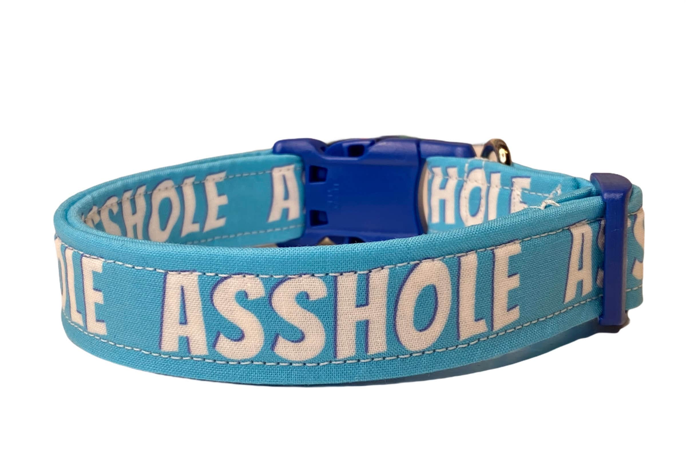 Asshole Dog collar, dog collar, obscene dog collar, funny dog collar, blue dog  collar, dog collar boy, asshole, wide dog collar, adjustable