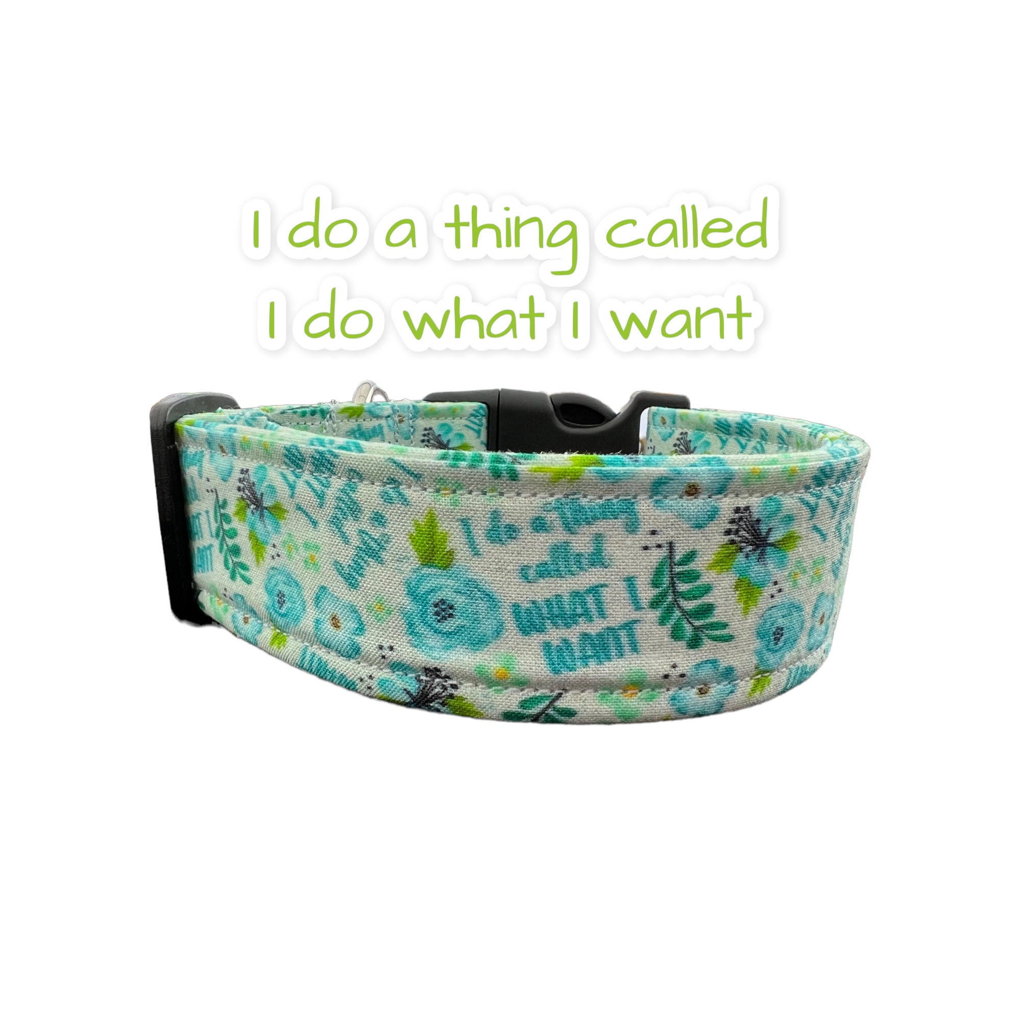 Funny Dog Collar Cuss Word Dog Collar Wide Dog Collar Side 