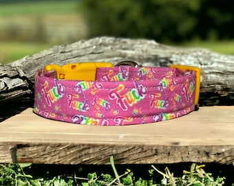 Retro 90’s fuck dog collar, Funny dog collar, girl dog collar, obscene dog collar, handmade side release collar, adjustable collar, washable