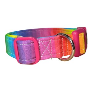 A rainbow-striped fabric dog collar with a pink plastic buckle and a silver D-ring is shown from the side on a white background.
