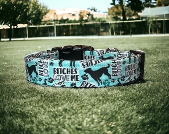 Bitches love me dog collar, funny dog collar, obscene dog collar, side release, adjustable, handmade dog collar, washable, fabric dog collar