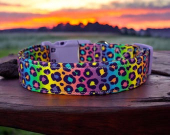 Rainbow 90s retro Leopard Print Dog Collar: Handmade Washable Fabric