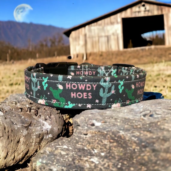 Howdy Hoes Dog Collar Funny Dog Collar Obscene Swear Word Dog