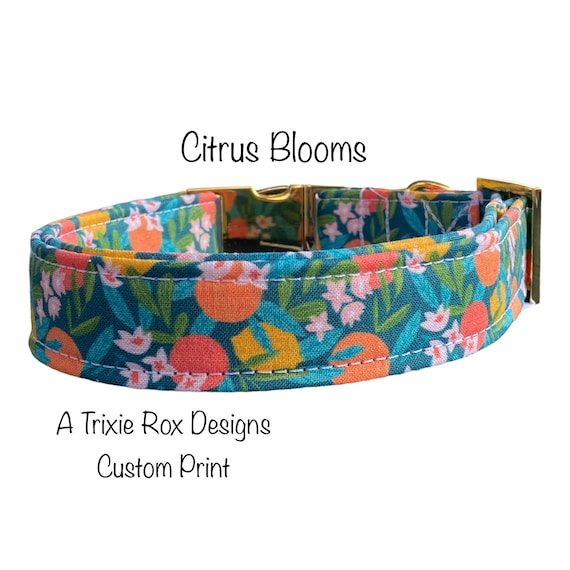Floral Citrus Dog Collar: Adjustable, Washable, Metal Hardware, handmade floral side release dog collar