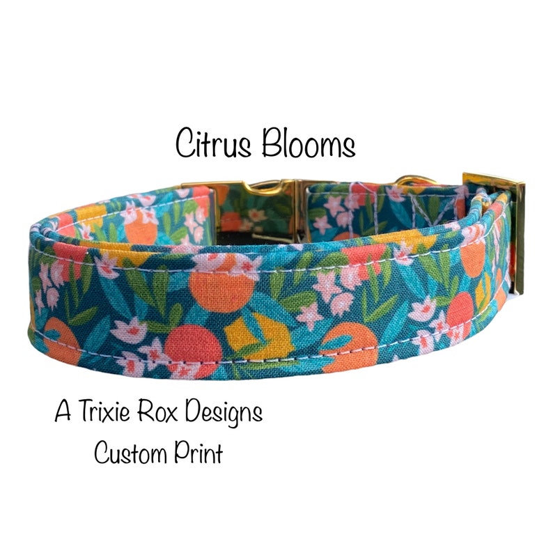 Peut inclure: Un collier pour chien bleu sarcelle avec une boucle dor&eacute;e. Le collier pr&eacute;sente un imprim&eacute; personnalis&eacute; de fruits d'agrumes orange et de fleurs blanches sur un fond bleu sarcelle. Le texte "Citrus Blooms" et "A Trixie Rox Designs Custom Print" est visible sur l'image.
