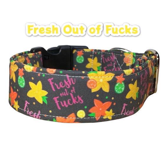 Dog collar, dog collar girl, funny dog collar, obscene dog collar, cuss  word dog collar, side release, adjustable, washable, fucking love U