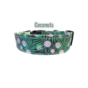 Coconut dog collar, food dog collar, girl dog collar, custom dog collar, boy dog collar, handmade dog collar, fabric dog collar, washable