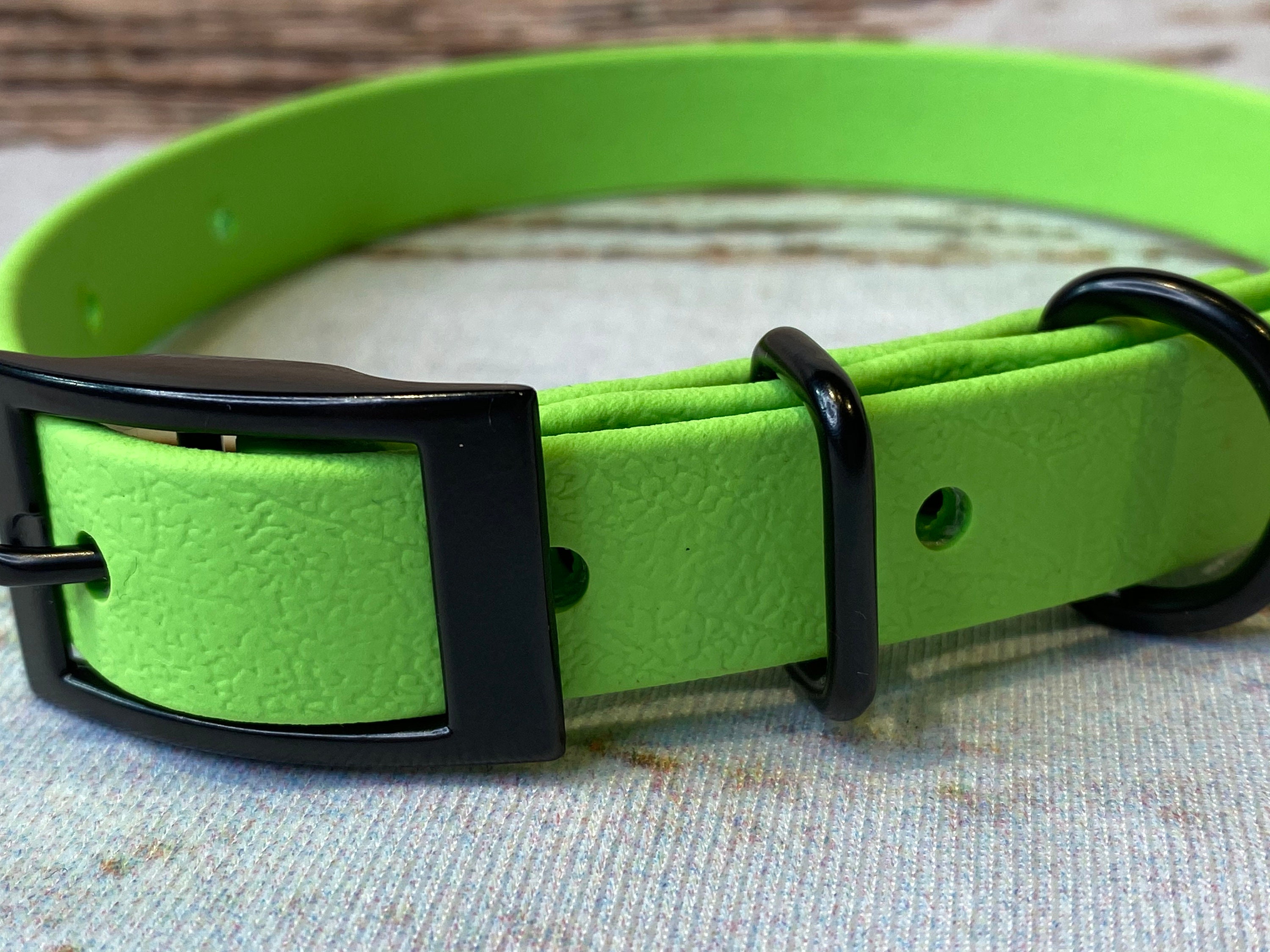 Biothane dog collar green dog collar dog collar buckle dog Etsy