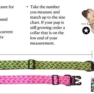 Instructions on how to measure for a dog collar, with an illustration of a dog and two sample collars below.