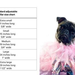 Peut inclure: Un tableau indiquant les tailles de collier r&eacute;glables standard pour chiens. Le tableau indique la taille, la longueur du cou en pouces et la largeur en pouces. Les tailles sont extra petite, petite, moyenne, grande et extra grande.