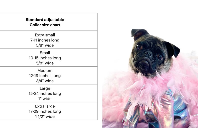Peut inclure: Un tableau indiquant les tailles de collier r&eacute;glables standard pour chiens. Le tableau indique la taille, la longueur du cou en pouces et la largeur en pouces. Les tailles sont extra petite, petite, moyenne, grande et extra grande.
