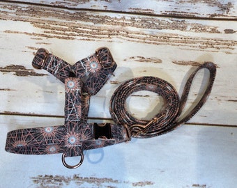 Rose gold on roses harness and leash set