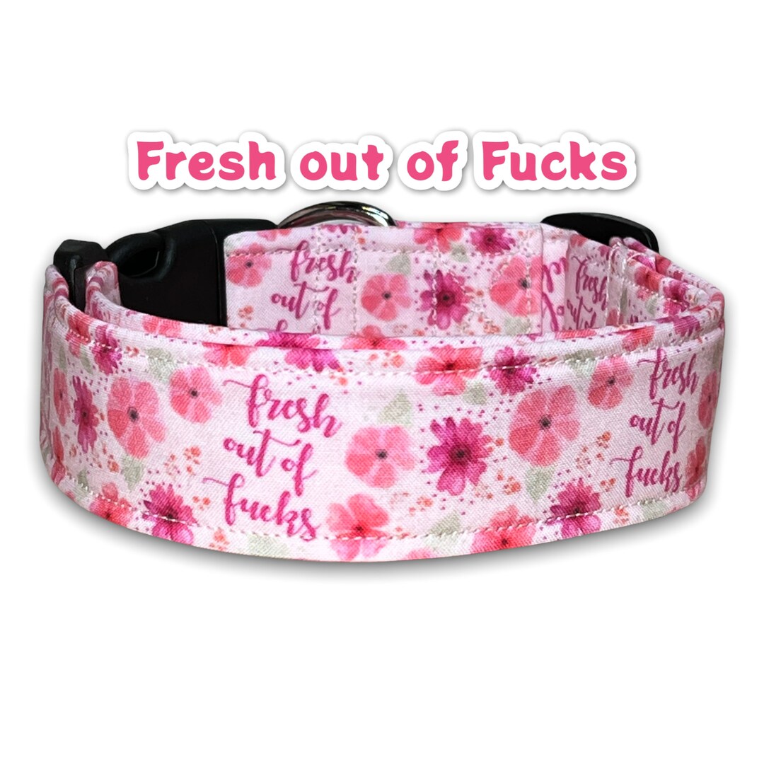 Funny Dog Collar, Cuss Word Dog Collar, Wide Dog Collar, Side Release, Adjustable, Washable
