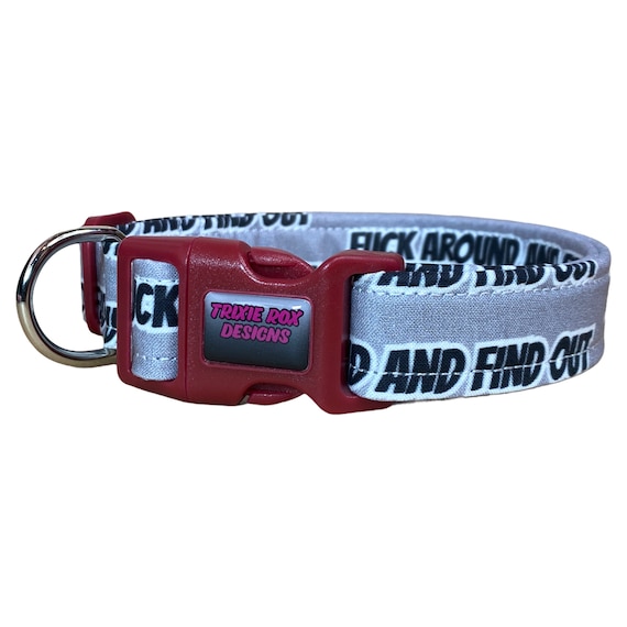 Fuck Around and Find Out Dog Collar Funny Dog Collar Obscene 