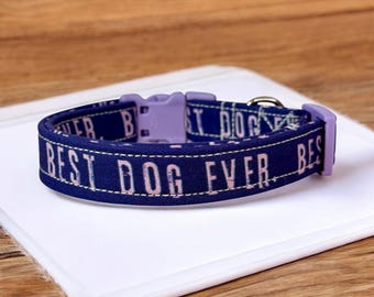 Funny Dog Collar: Handmade Adjustable Side Release Collar