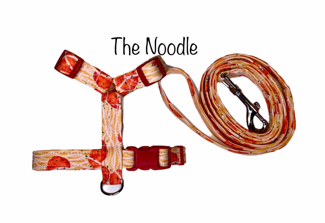 Dog Harness, Noodle Dog Harness, Dog Harness and Leash Set, Standard