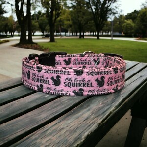 Dog Collar Personalized Squirrel Pink - Etsy