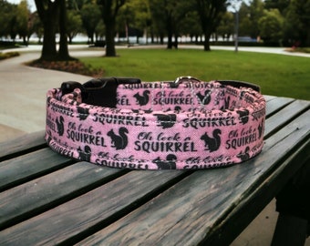 Oh look a squirrel dog collar, funny dog collar, side release dog collar, adjustable washable collar, handmade dog collar, custom dog collar
