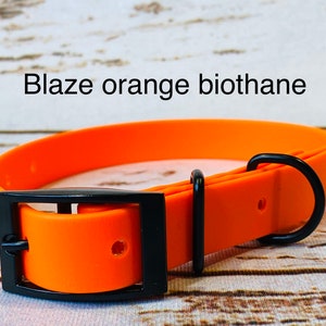 Biothane dog collar, orange dog collar, dog collar, buckle dog collar, waterproof collar, blaze orange, orange biothane, vegan leather