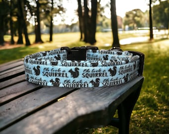Oh look a squirrel dog collar, funny dog collar, side release dog collar, adjustable washable collar, handmade dog collar, custom dog collar
