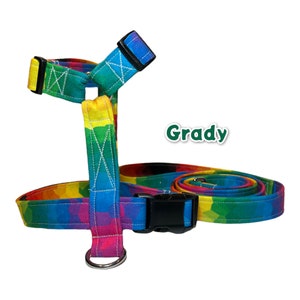 Rainbow Dog Harness and Leash Set: Adjustable Pet Harness