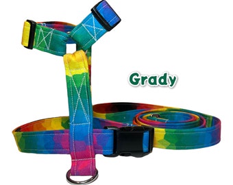Rainbow dog harness and matching leash, pet harness & leash set, standard roman harness, step in harness, adjustable washable pet harness