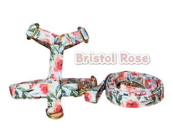 Floral dog harness and leash set, step in dog harness, matching leash, standard Roman harness, dog harness, floral dog harness, brass