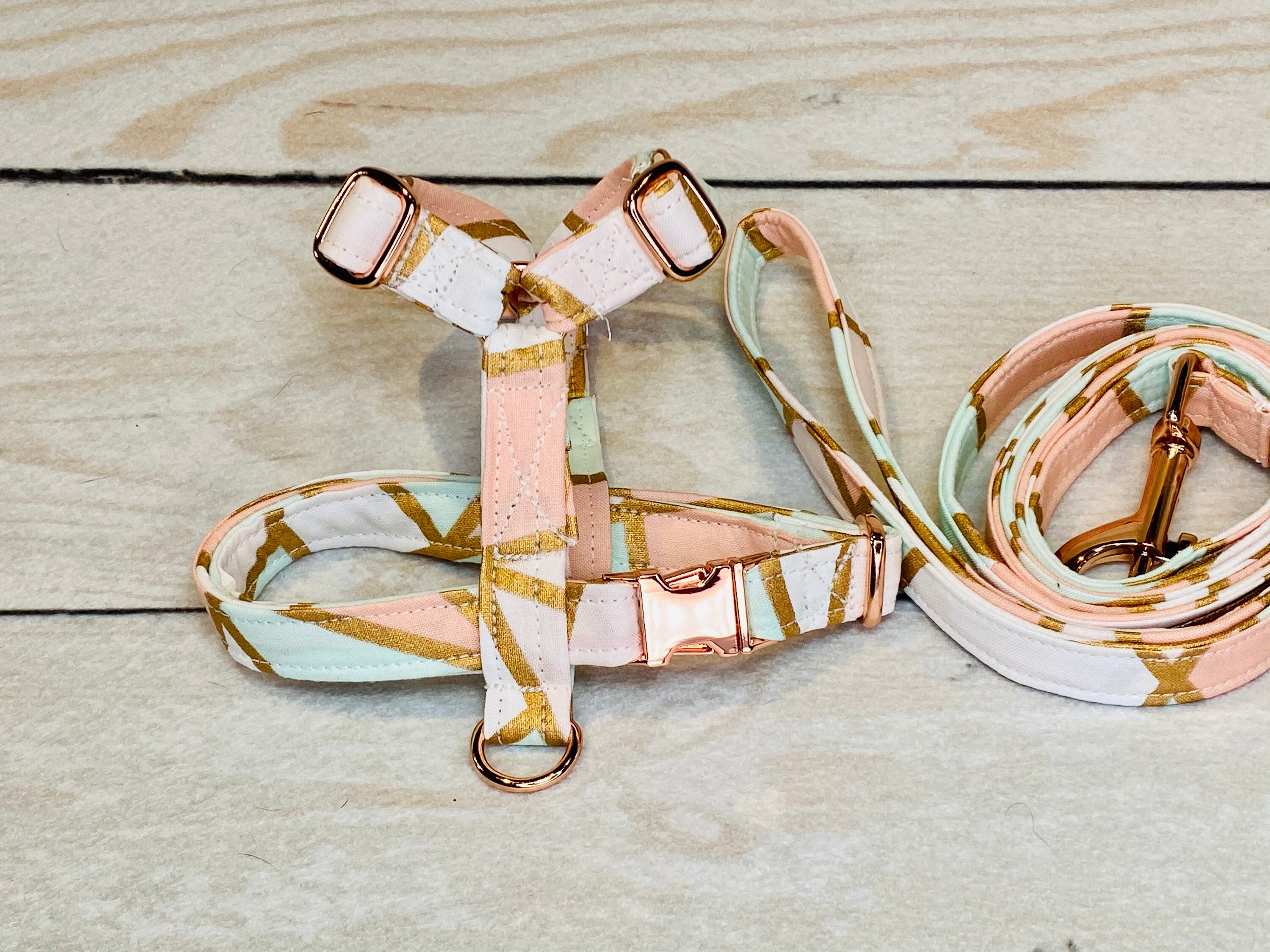 Dog harness, Harness and leash, step in harness, standard harness, dog