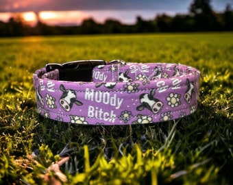 Moody bitch dog collar, funny dog collar, handmade dog collar, side release adjustable collar, dog collar, orange dog collar, washable