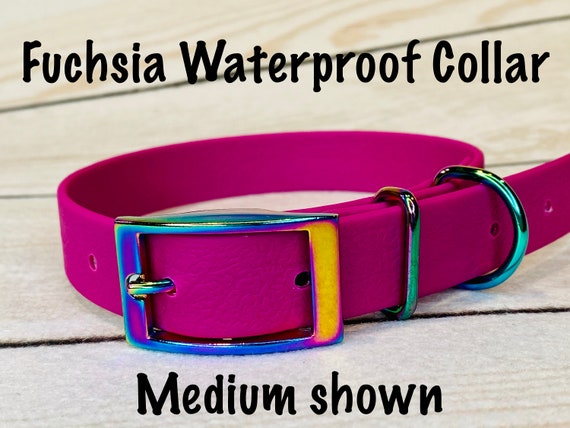 Fuchsia top dog collar