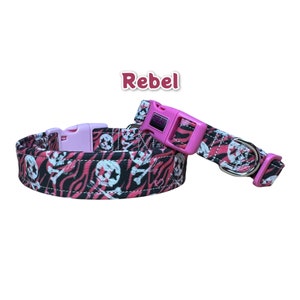 Pink Skull Dog Collar: Punk Rock Zebra Print, Adjustable Side Release