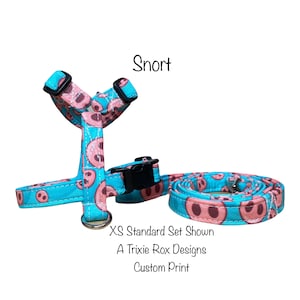 Pig Dog Harness and Leash Set: Adjustable Step-In or Roman Harness