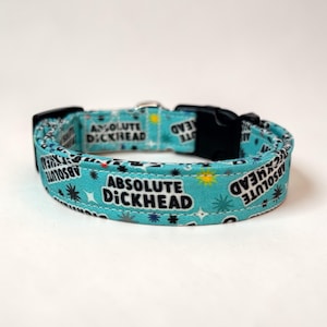 May include: A turquoise dog collar with the words "ABSOLUTE DICKHEAD" in large white letters. The collar has a black plastic buckle and a silver metal loop. The fabric has a repeating pattern of stars and suns.
