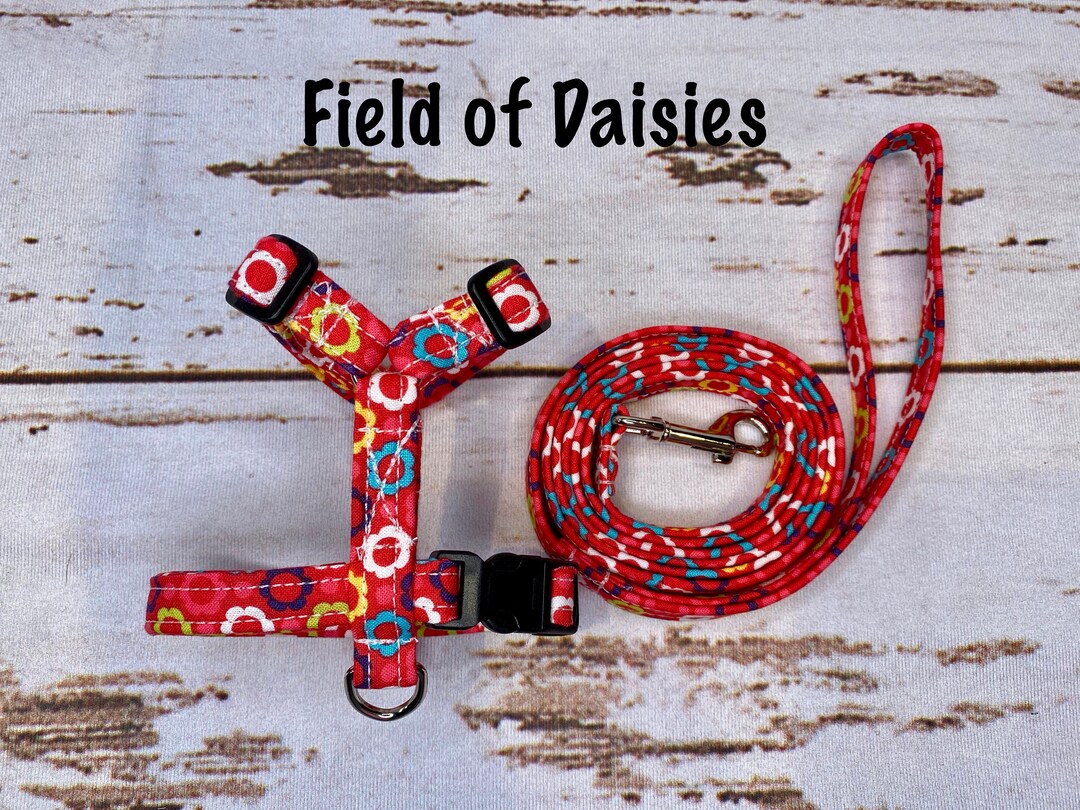 Dog Harness, Harness and Leash, Step in Harness, Standard Harness, Dog