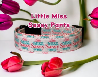 Little Miss Sassy Pants Dog collar, side release adjustable, handmade washable pet collar, light pink background, funny female dog collar