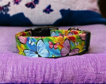 Animal Collars
