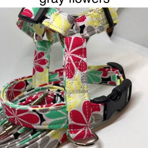Floral Dog Harness and Leash Set: Adjustable Step-In or Standard, Funny Handmade Dog Collar