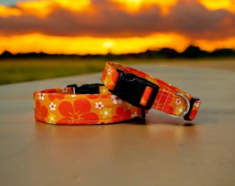 Tropical floral dog collar, orange hibiscus floral dog collar, side release adjustable collar, washable fabric collar, handmade dog collar