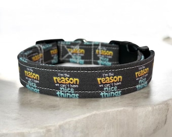 Can’t have nice things dog collar, funny dog collar, handmade side release dog collar, girl dog collar, boy dog collar, custom dog collar